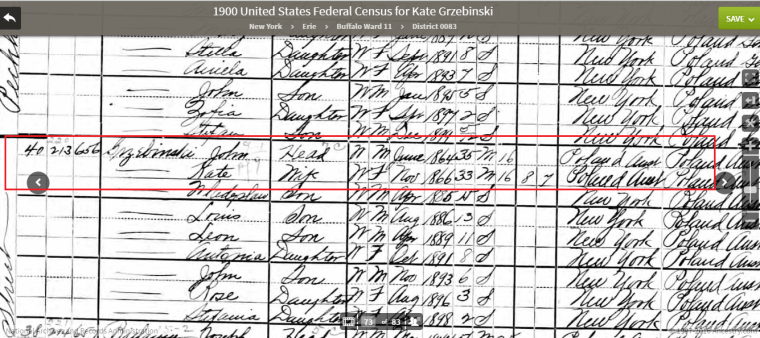 1900 census Grzebinski