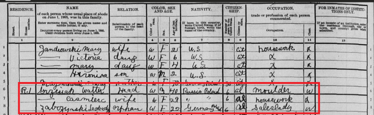 1905 NY State Census for Walter Grzesiak