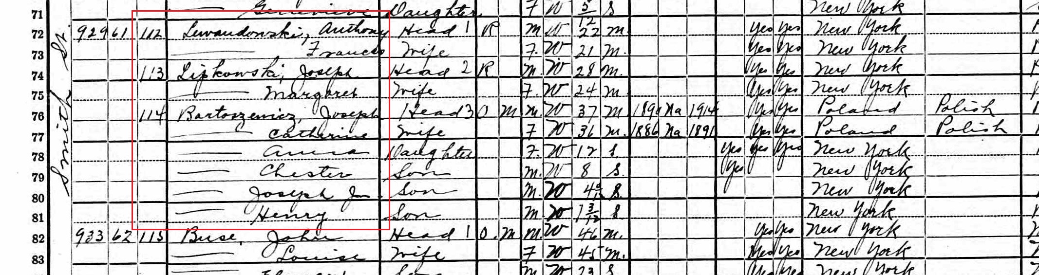 1920 United States Federal Census10 crop