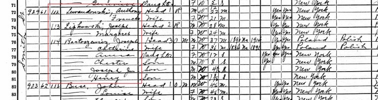1920 United States Federal Census10 crop