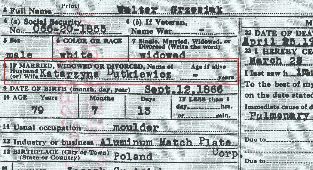 Katarzyna Dutkiewicz