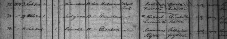 stanislaus-lewandowski-1859-p-1-crop