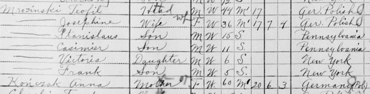 Teofil Mrozinski family 1910 census