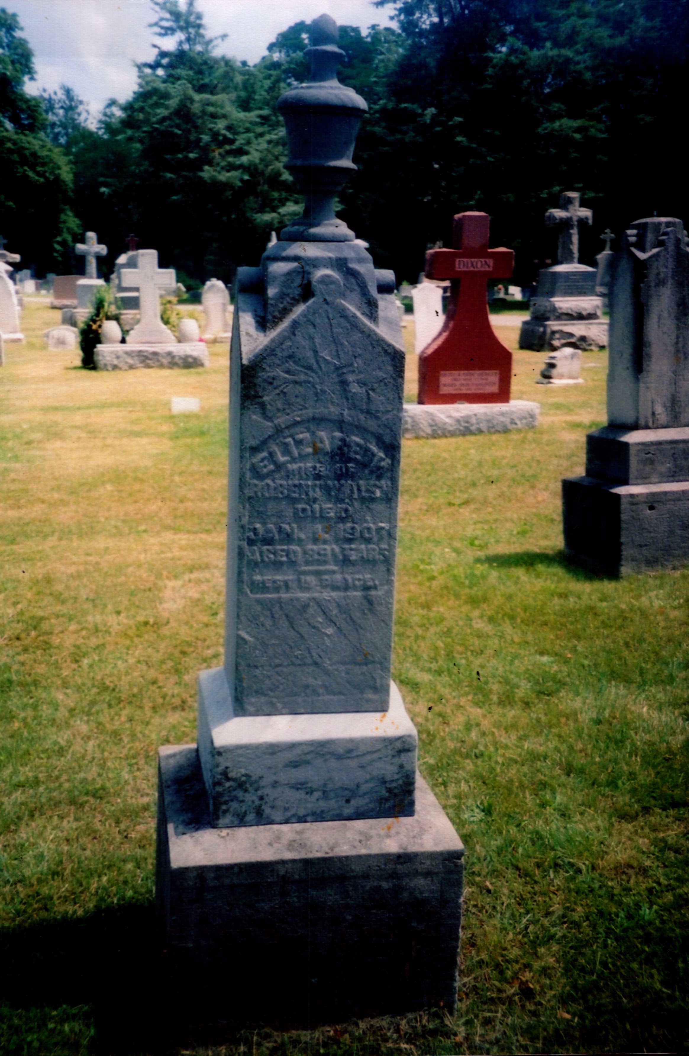 elizabeth-walsh-grave-inscription
