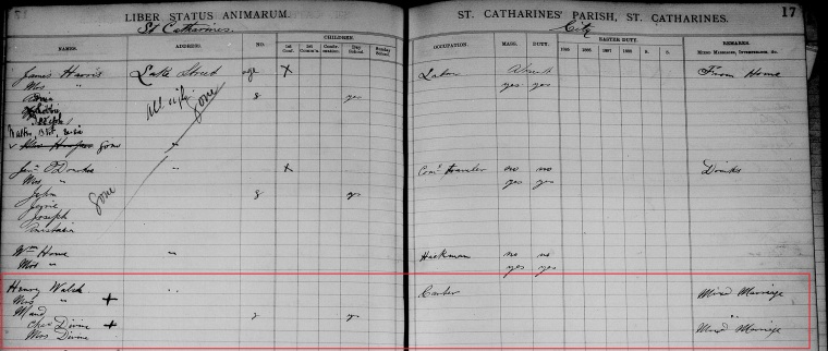 henry-walsh-family-1885-parish-census-cropped-marked