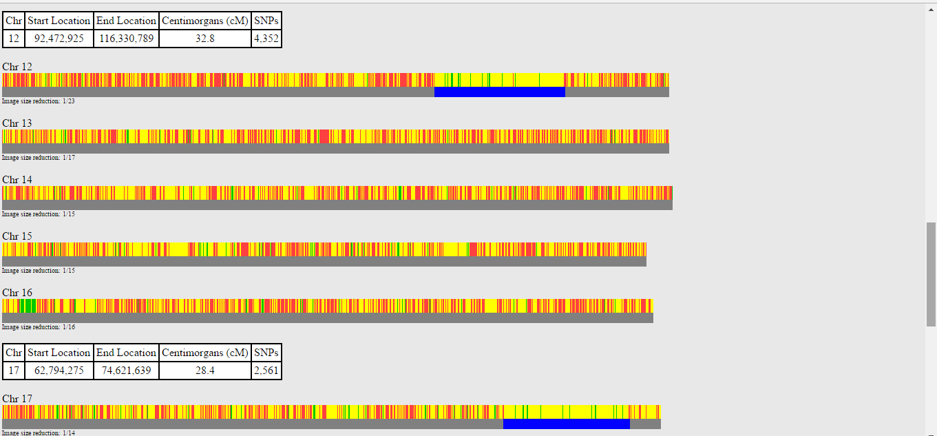 gedmatch-1