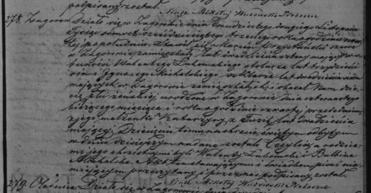 Cecylia Przystanka 1863 birth crop