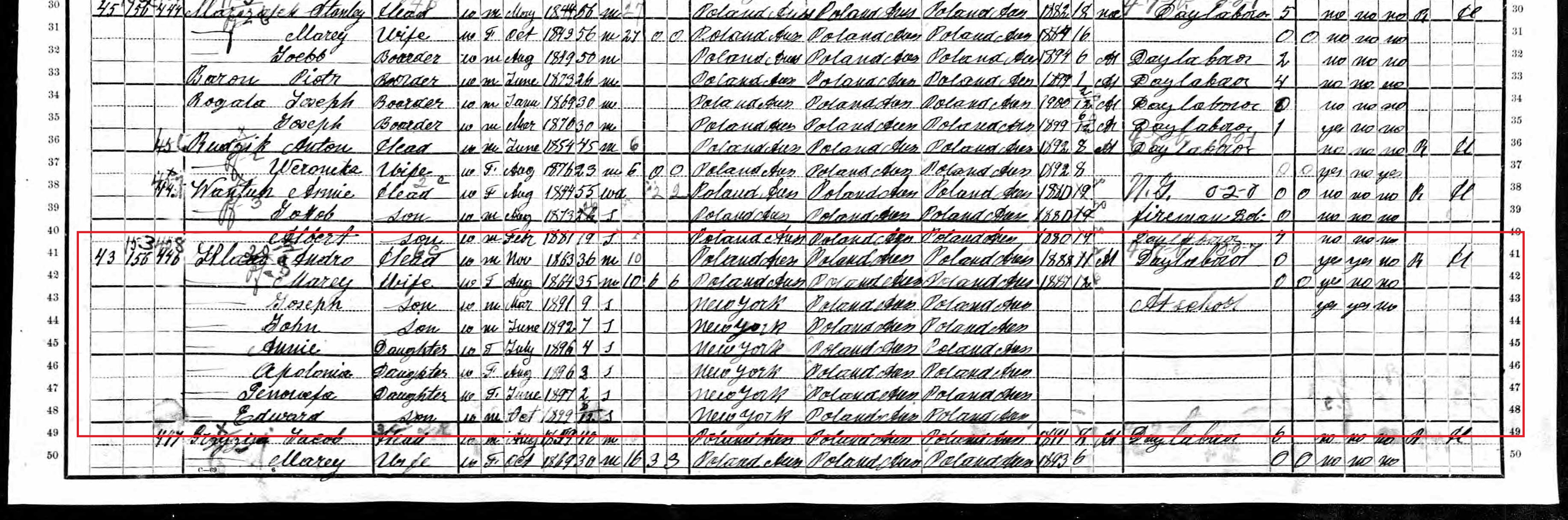 1900 United States Federal Census - Andrzej Klaus