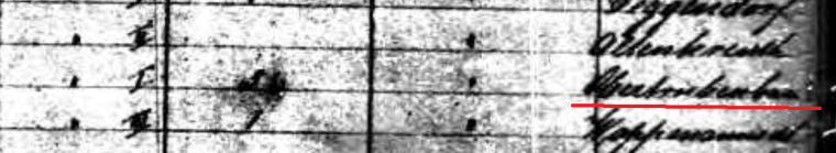 Wenzel Meier Manifest right crop