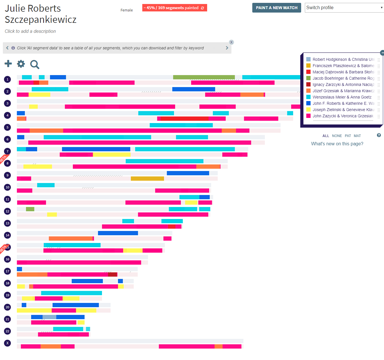 dna painter screenshot
