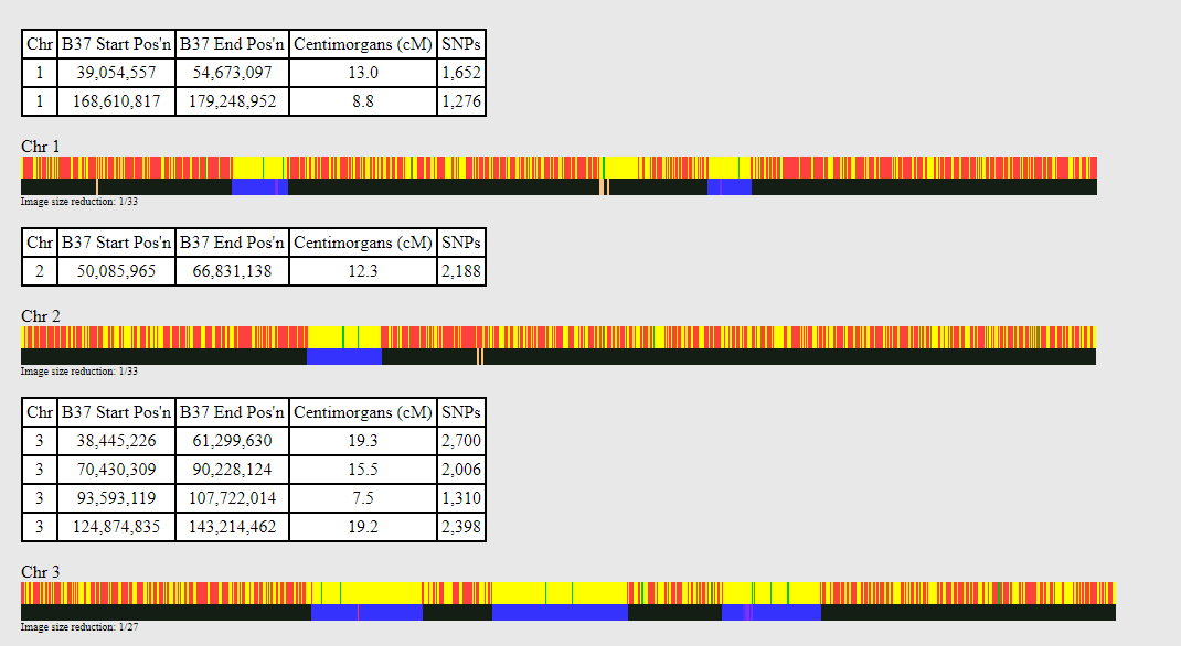 first three chromosomes showing matching segments