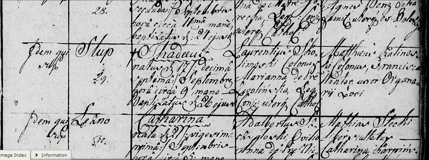 Tadeusz Skolimowski birth 1841