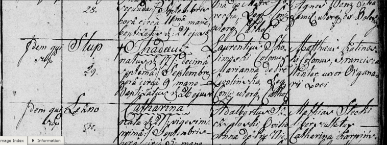 Tadeusz Skolimowski birth 1841