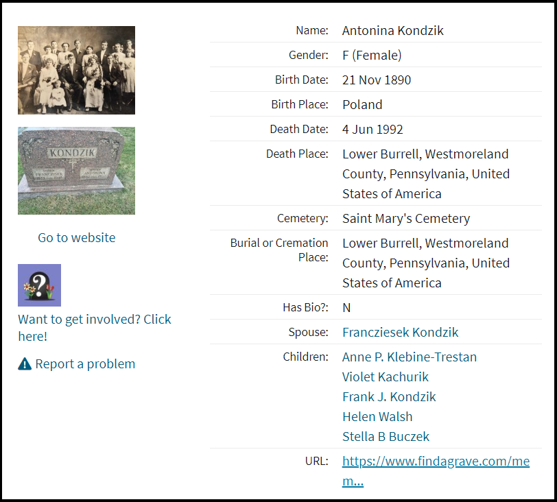 Antonina Kondzik FAG